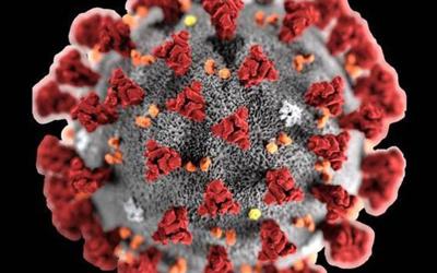 Avviato un nuovo Studio Multicentrico SIGOT