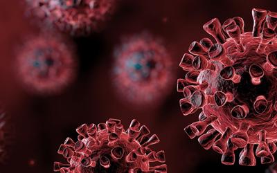 COVID-19 pandemic – Call for submissions