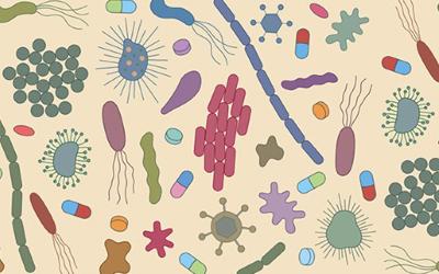 Analisi dell’anti bioticoterapia nelle CRA