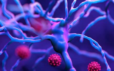 Alzheimer’s-like signaling in brains of COVID-19 patients